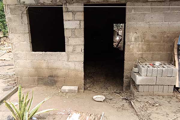 Fueron pocas las casas que quedaron en pie, pero fueron afectadas por el lodo que llegó hasta más de un metro de altura. Foto derechos reservados EL INFORMADOR