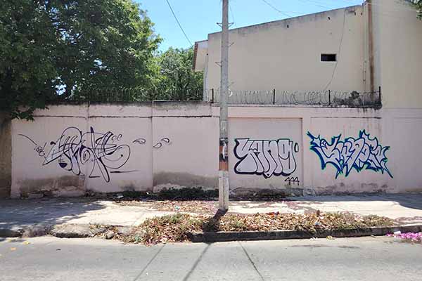 En la carrera 17, entre la Avenida Libertador y la calle 15, paredes vandalizadas con grafitis y acumulación de basuras en el andén, lo que refleja el deterioro del espacio público y afectan la imagen del sector.