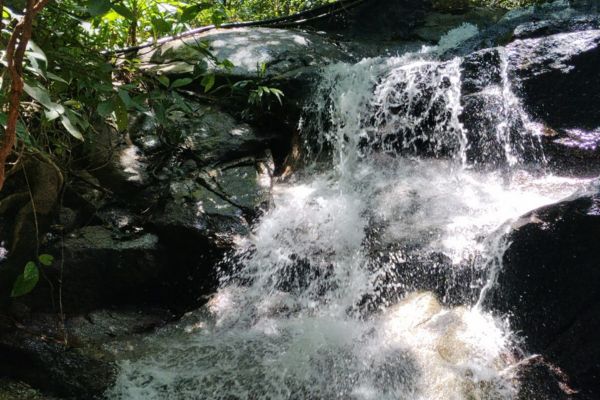 Diferentes familias disfrutando de las cascadas que ofrece el destino natural ubicado en el sector de ‘Paso del Mango’. Foto todos los derechos reservados EL INFORMADOR
