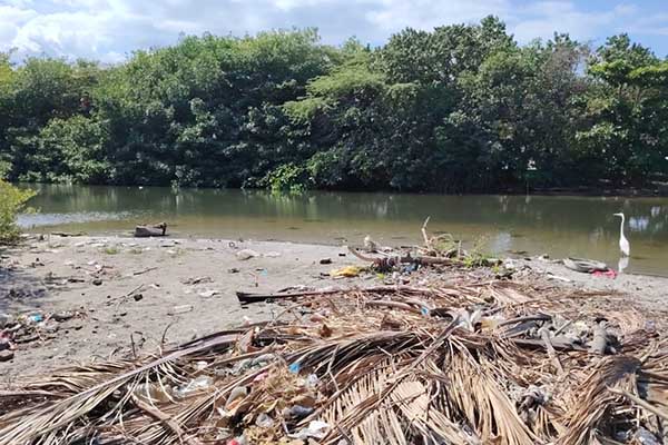 La protección de los recursos naturales y la promoción de prácticas sostenibles son clave para garantizar el futuro ambiental de la ciudad. Foto derechos reservados EL INFORMADOR 