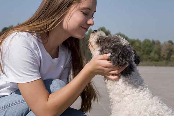 Cuando una persona y su perro se miran mutuamente de manera prolongada, los niveles de oxitocina de ambos se elevan. Foto EFE Freepik