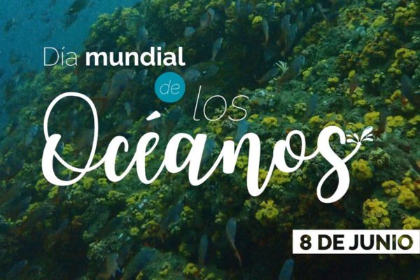 Los arrecifes coralinos del Caribe colombiano albergan una gran diversidad de especies y cumplen un papel fundamental en el equilibrio de los ecosistemas marinos. Foto Invermar/Raúl Navas Camacho