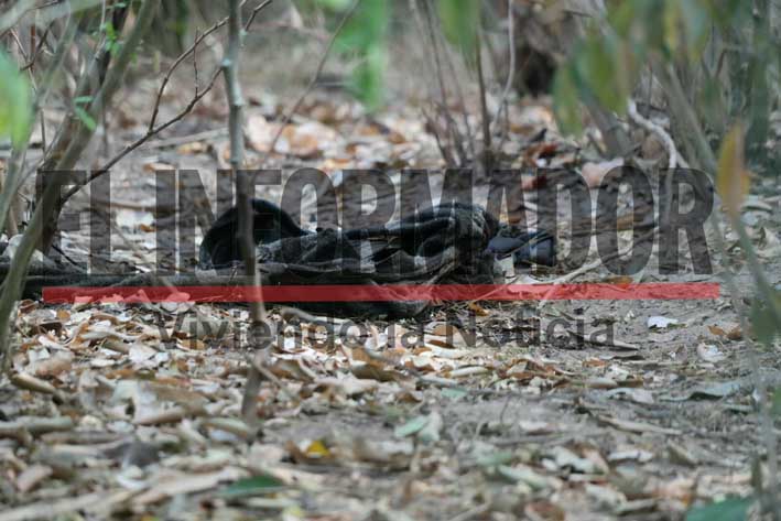 Fotos: Harold Arrieta