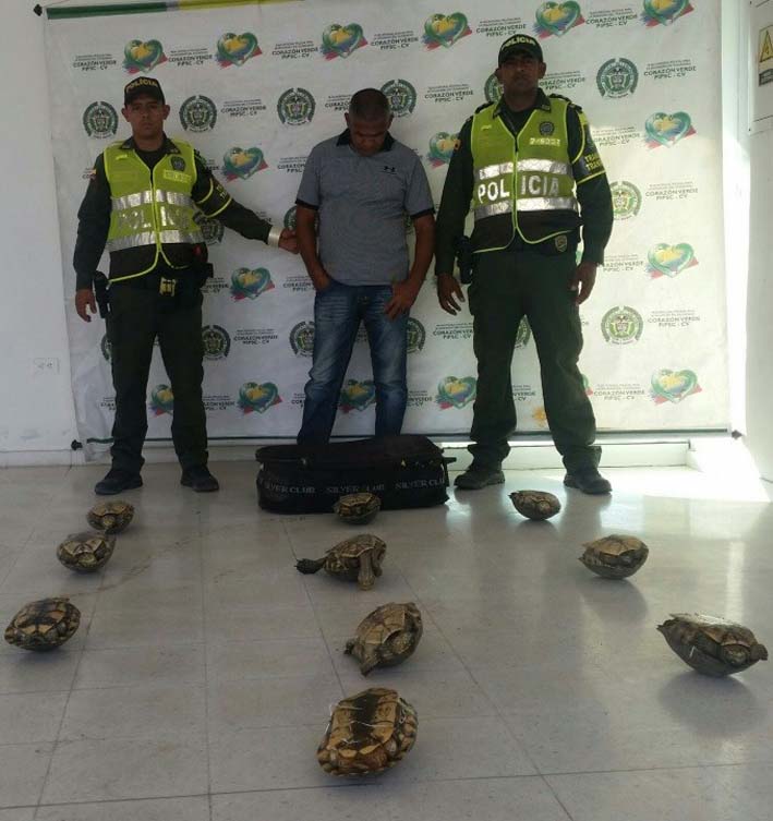Alfonso Rafael González Garizábalo, capturado presuntamente por el delito de aprovechamiento ilícito de los recursos naturales.