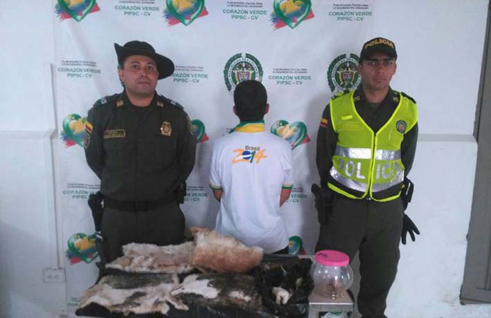 El capturado fue mostrado por las autoridades.