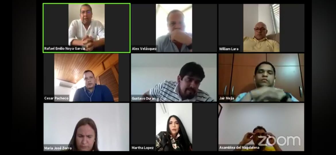 A la sesión virtual asistieron los diez diputados que conforman las comisiones Primera, Segunda y Quinta.