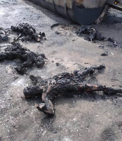 Siete personas murieron calcinadas tras la explosión del carrotanque cuando sustraían en pimpinas el combustible que transportaba.