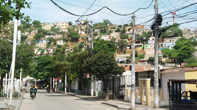 La invasión de los cerros genera un daño ambiental agresivo y causa que cientos de especies de árboles sean talados y los animales terminan quemados y desalojados de su hábitat natural.