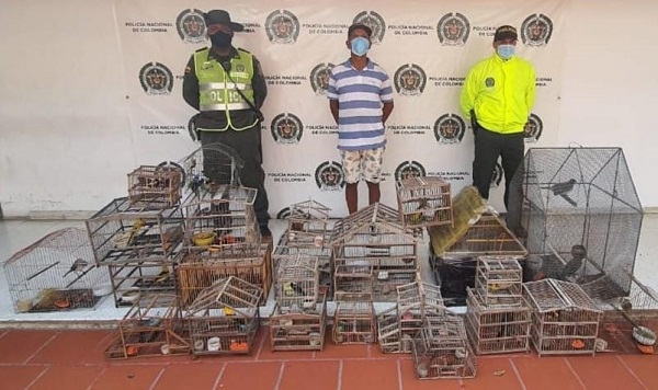 Un hombre fue dedicado a la comercialización de estas aves silvestres en la ciudad.