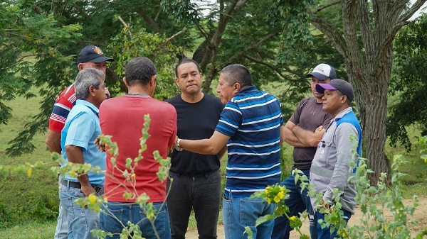 La situación que fue denunciada por el alcalde municipal, Jaime Peña Peñaranda, se evidenció en varias fincas del corregimiento de Apure.