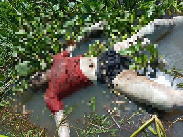 El cuerpo sin vida fue sacado del río Magdalena por parte de un grupo de pescadores.
