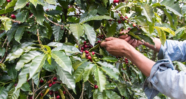 Foto referencia