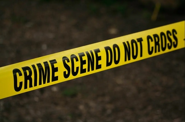 Foto referencia
