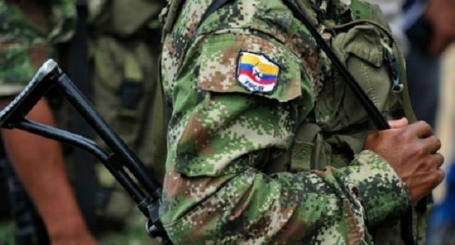 Foto referencia