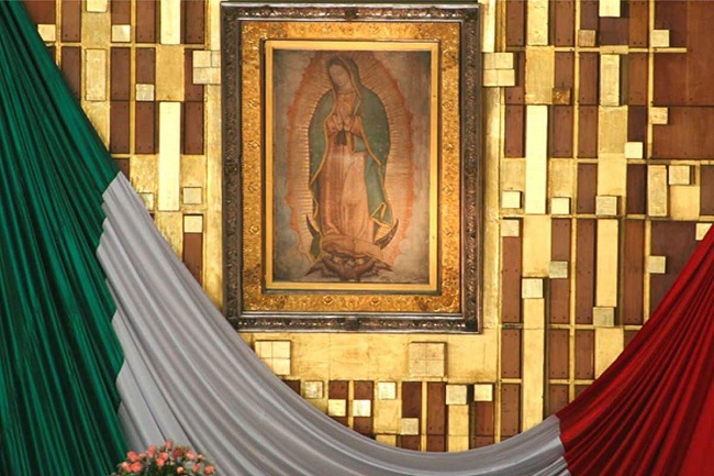 Foto referencia