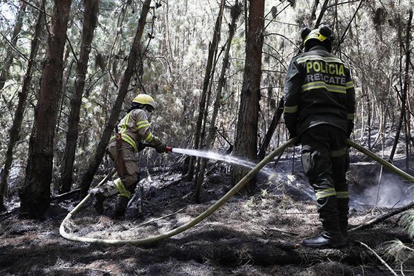 Las autoridades han contabilizado una treintena de incendios en diferentes partes del país esta semana, algunos de los cuales ya fueron sofocados.