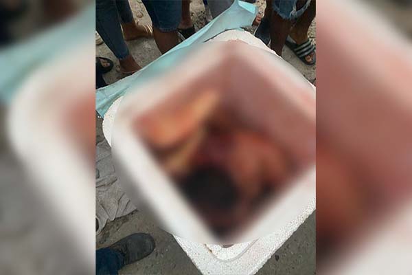 El cuerpo sin vida del hombre estaba desmembrado dentro de una caja de icopor. El cuerpo sin vida del hombre estaba desmembrado dentro de una caja de icopor.