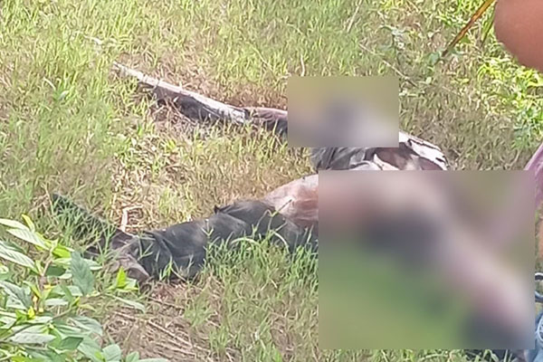 El cuerpo sin vida de esta persona fue encontrado en un lugar enmontado de la población.