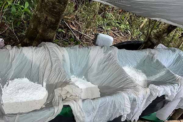 En la acción oficial fueron incautados más de 400 galones de insumos líquidos y 150 kilos de insumos sólidos.