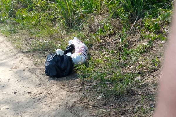 Dálida Patricia Hernández Cuello fue asesinada a puñal y desmembrada por su compañero sentimental