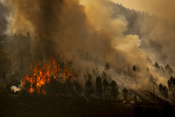 Vista del incendio que se registra en los alrededores de Maceda este domingo. EFE/ Brais Lorenzo