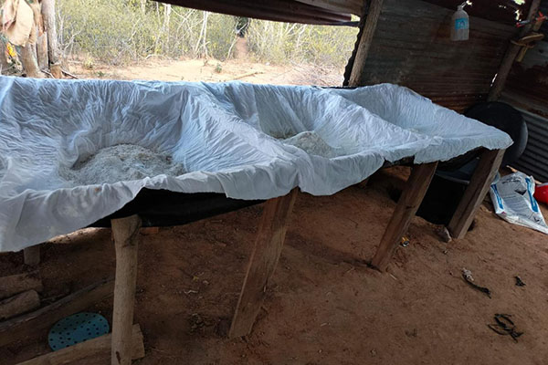 Las operaciones militares evitaron la producción de dos toneladas mensuales de cocaína destinadas a Centroamérica y Europa. Foto Ejército Nacional 