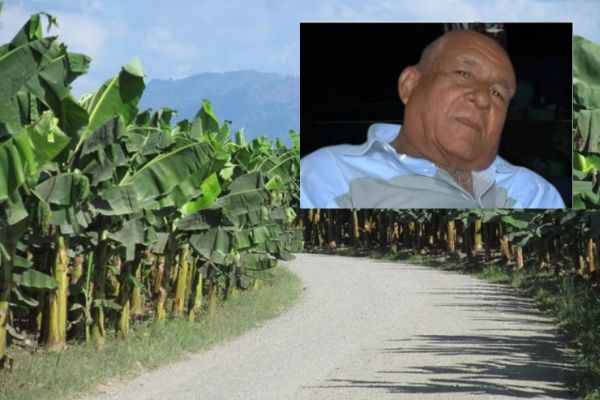 Nicolás Ortiz Sánchez, fue acribillado a tiros el corregimiento de Palomar. Foto de fondo EL INFORMADOR/foto recuadro cortesía QAP Noticias Santa Marta