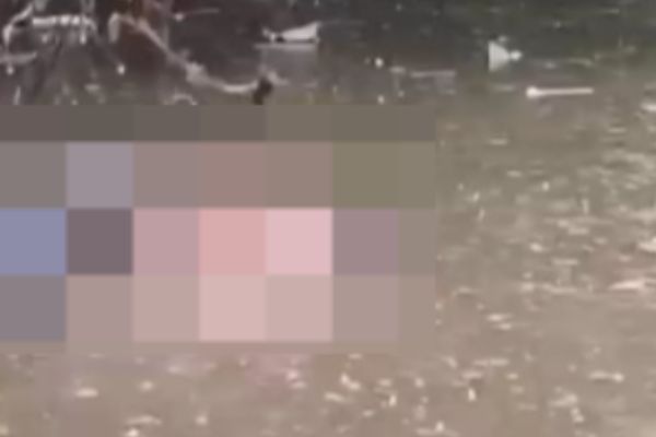 Foto capturada de video cortesía 