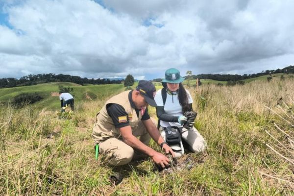 La iniciativa busca alcanzar la meta de 100.000 árboles sembrados antes de finalizar el año. Foto Ejército Nacional