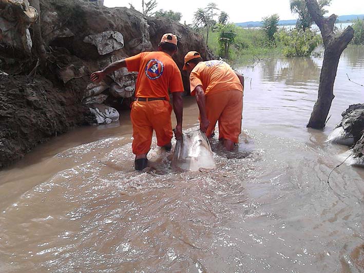 En algunos sectores, el agua ha inundado zonas de cultivos de pancoger.