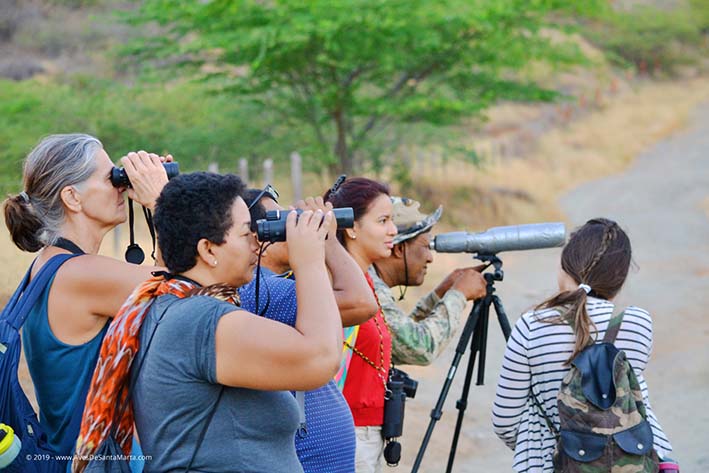 Esta afición en su mayoría de veces es desarrollada como pasatiempo, y se basa en el arte de reconocer las distintas especies de aves por su taxonomía. Foto: Luis Manuel Delgado - AvesDeSantaMarta.org.