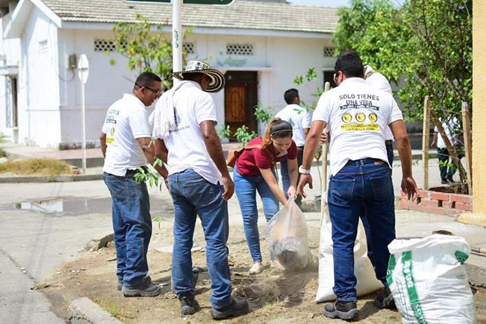 La Oficina de Medio Ambiente en articulación con la Corporación Autónoma Regional del Magdalena, Corpamag, realizó la entrega y siembra de 20 árboles.