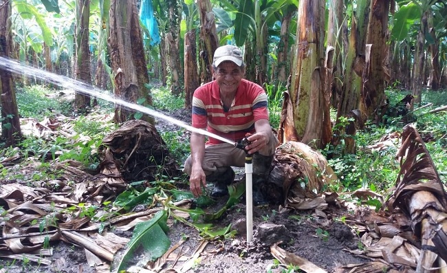 146 productores lograron implementar nuevos métodos de riego en las fincas bananeras. 
