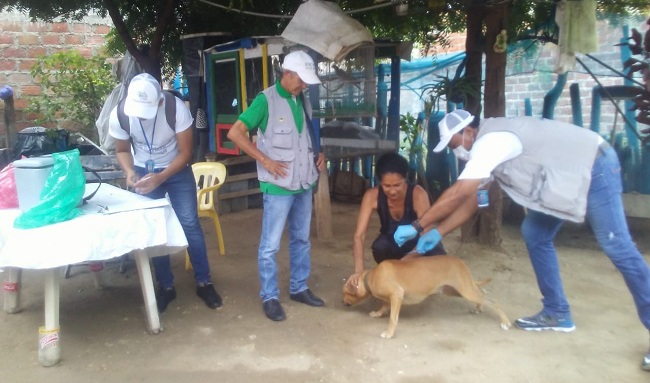 La rabia es una enfermedad mortal transmitida por la mordedura de animales de sangre caliente que son reservorios naturales, perros y gatos, entre otros.