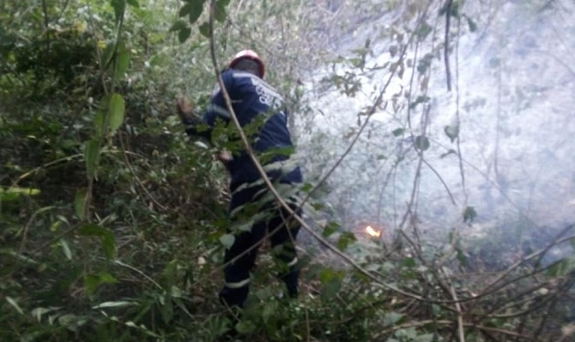 El cuerpo de Bomberos voluntarios de Ciénaga controló incendio forestal en el paso de los anillos Cordobita.