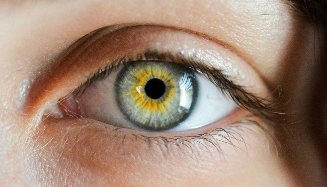 De forma general, los investigadores, a través del ensayo en ratones, comprobaron que la retina "mimetiza" lo que sucede en el cerebro de un enfermo de alzheimer.
