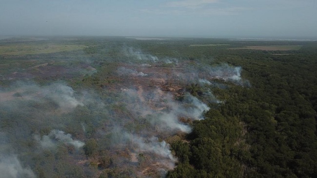 Imágen aérea del incendio que azota al Vía Parque Isla de Salamanca. 