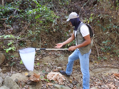  El descubrimiento se realizó en los departamentos de Bolívar, Cesar, La Guajira y Atlántico