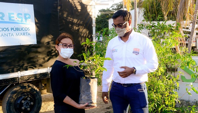 La Essmar donó a la autoridad ambiental del Distrito 220 árboles nativos maderables de las especies cedro y carreto.