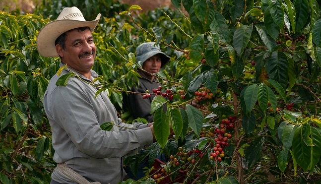 La Cámara de Comercio se encuentra comprometida con el fortalecimiento del tejido empresarial en el departamento.