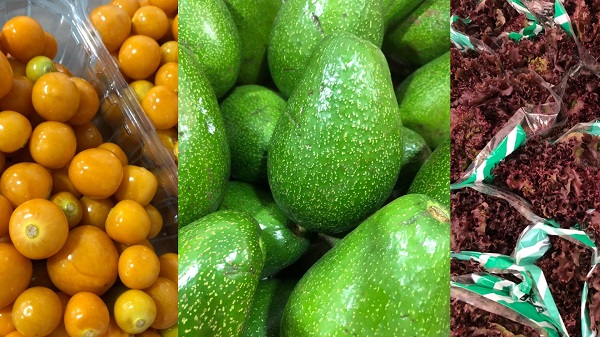 Entregar productos seleccionados, de buena calidad y ayudar a los campesinos de la ciudad es la iniciativa de La Magdalena. 