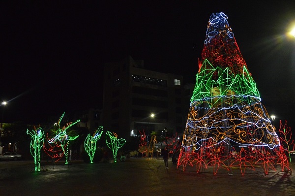 Este gran árbol navideño es el atractivo principal de la decoración en el Parque Bolívar. 