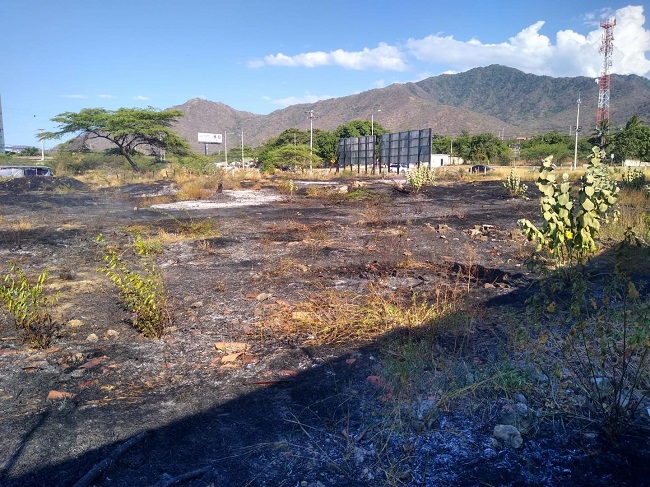 Incendio forestal en Bello Horizonte en Santa Marta. Fotos: Bomberos.