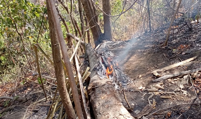 Fotos: Bomberos Santa Marta.