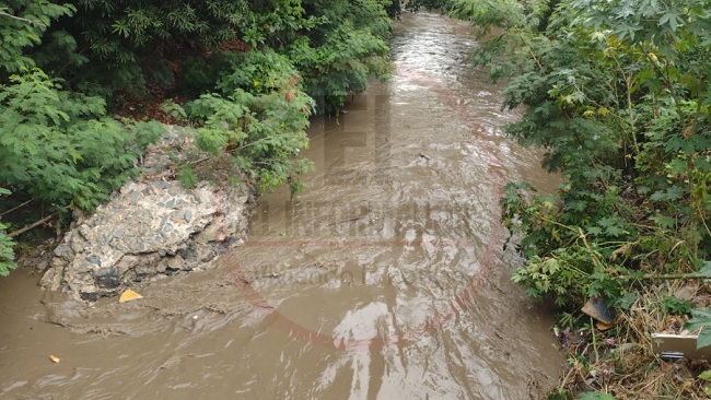 Así luce el río Manzanares a la altura del puente La Platina en Santa Marta.