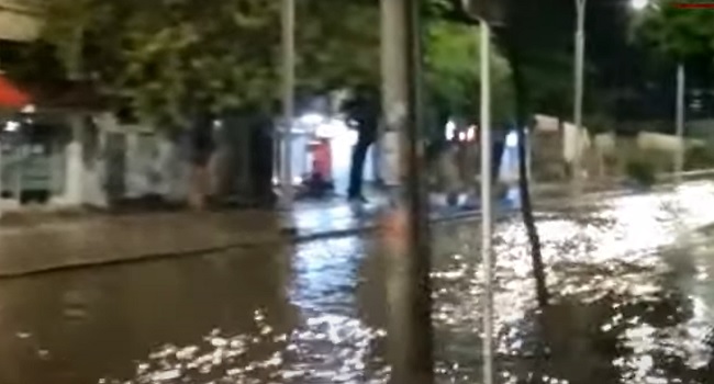 Foto referencia