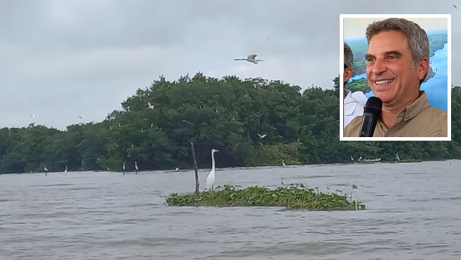 El ministro de Medio Ambiente, Carlos Eduardo Correa, destacó el regreso de las aves y otras especies que ya no se avistaban en la Ciénaga Grande de Santa Marta. Fotos: EL INFORMADOR.