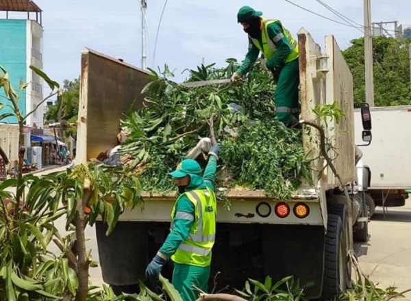 En este sector de la Avenida del Ferrocarril, cerca al Mercado Público de Santa Marta, se evidencia el arrojo de todo tipo de desechos no aptos para los contenedores.