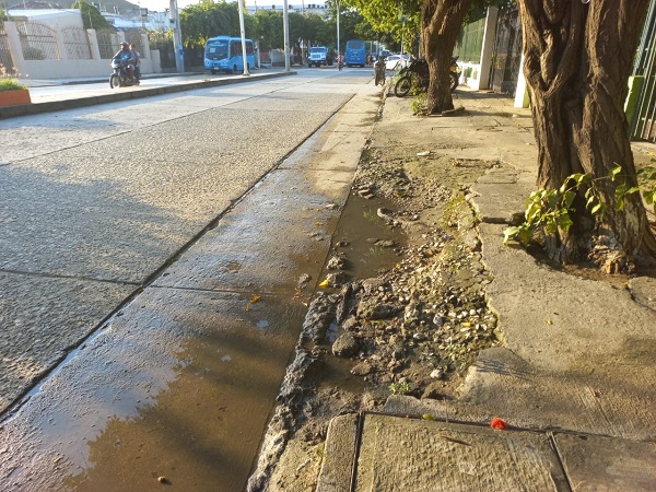 Foto: Ly Erick Amasifuen.