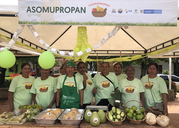 Asomupropan hace parte de las tres asociaciones beneficiarias del Proyecto E-Commerce de Unimagdalena y la Cámara de Comercio.